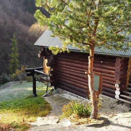 Bungalow In Mauntains With Chan Near The Forest Slavske Exterior photo