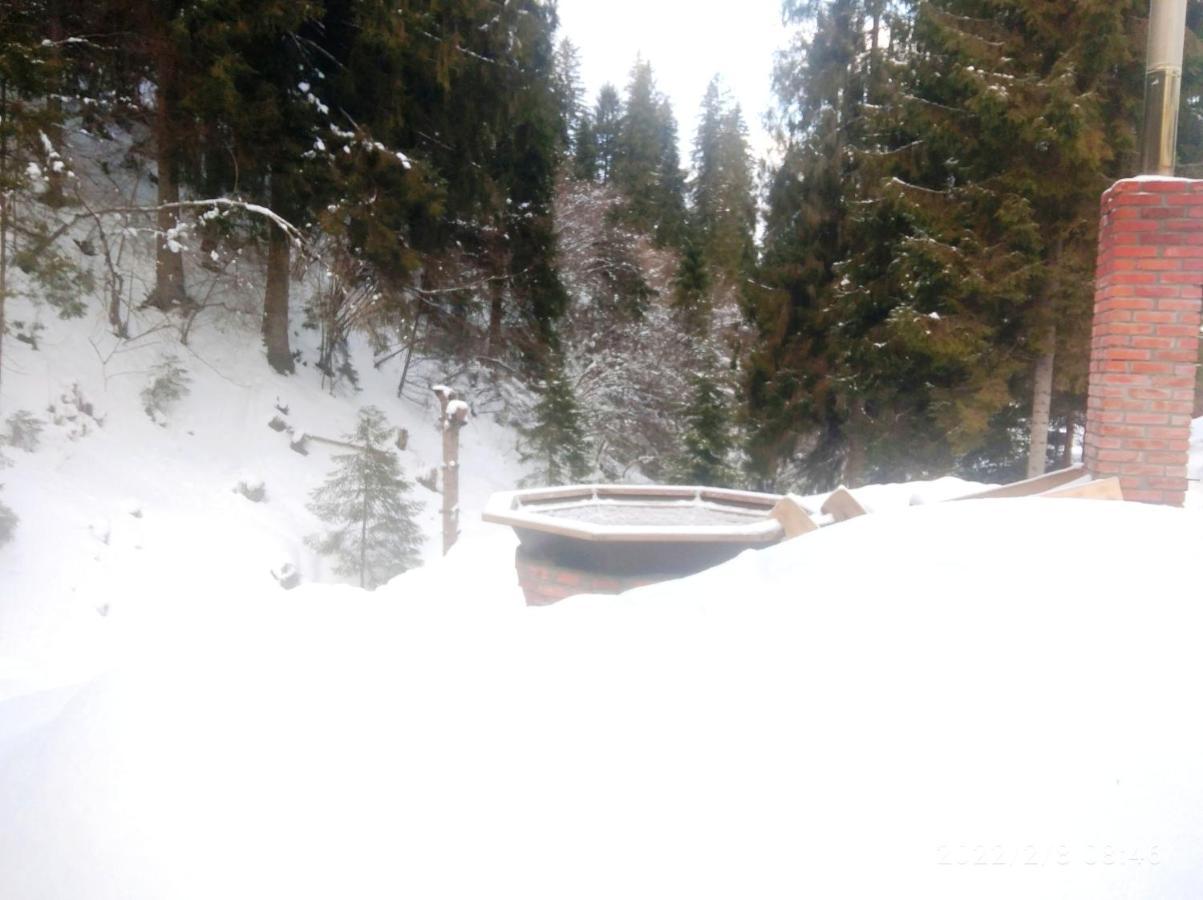 Bungalow In Mauntains With Chan Near The Forest Slavske Exterior photo